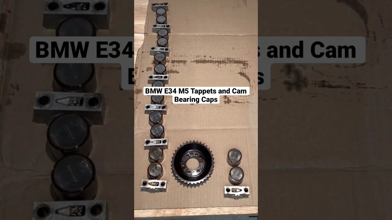 BMW E34 M5 Tappets and Bearing Caps #shorts #bmw #diy #bmwm5 #bmwe34 #restoration #mechanic #cars