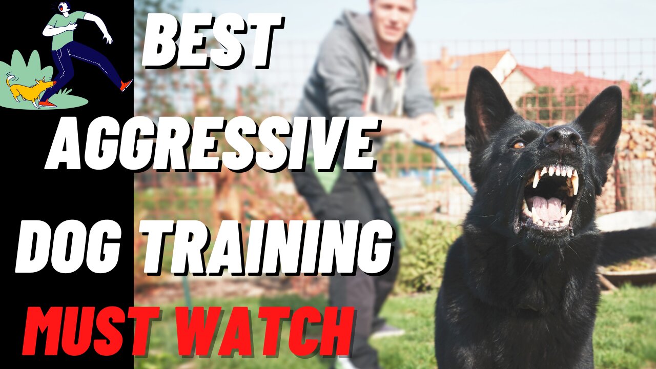 How To Make A Dog Fully Aggressive, Best Dog Training Video / Course