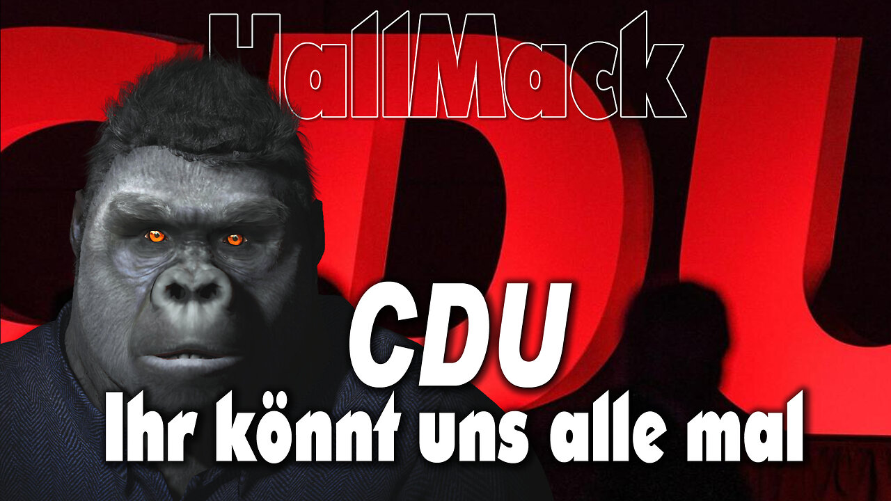 CDU - Ihr könnt uns alle mal