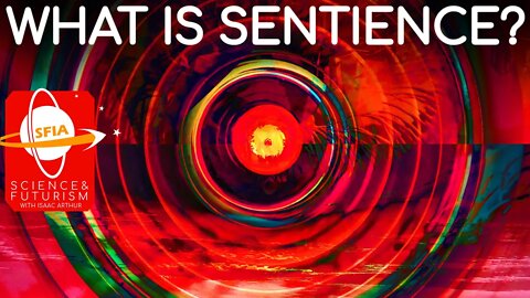 What is Sentience?