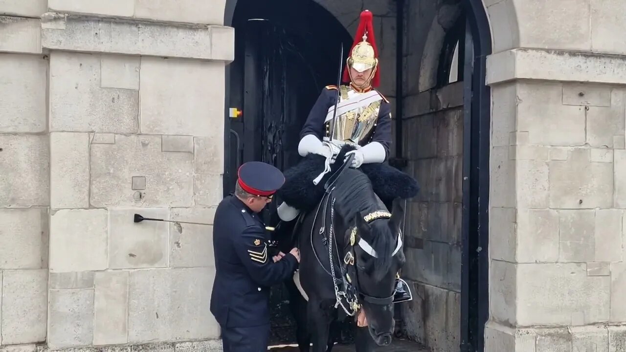 Copral comes to help #horseguardsparade