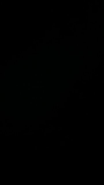 Artery clogging foods