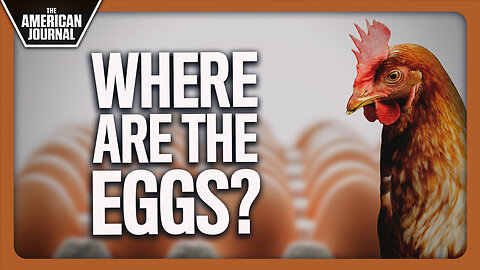 Massive Egg Shortage Across The World Drives Slonkers To Extremes
