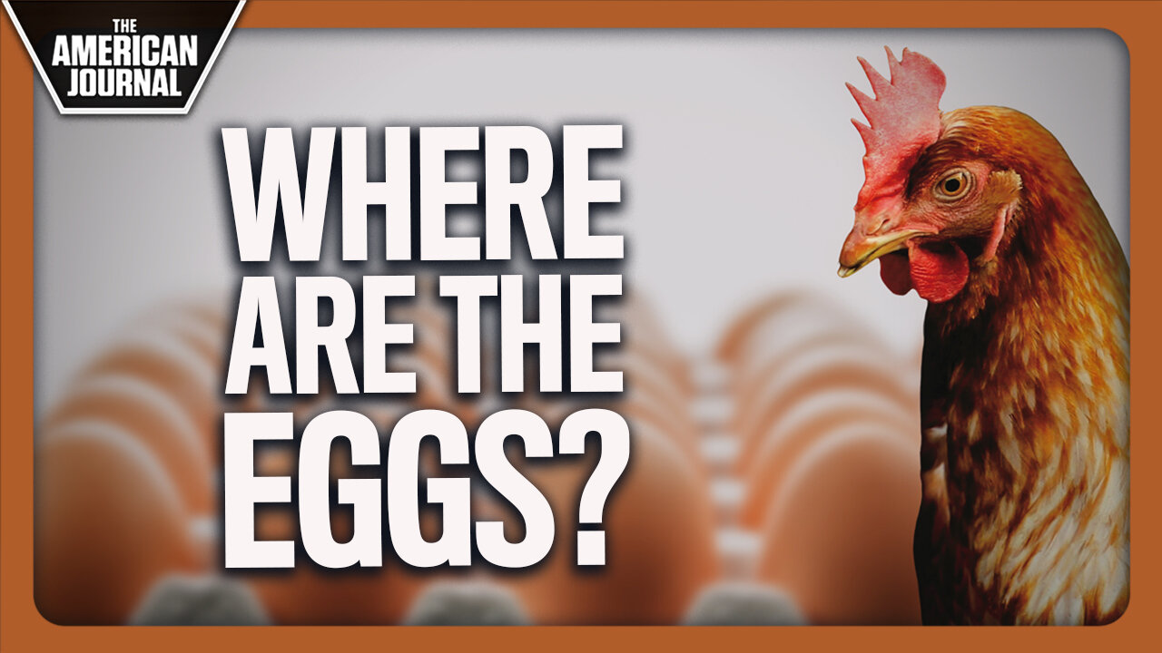 Massive Egg Shortage Across The World Drives Slonkers To Extremes