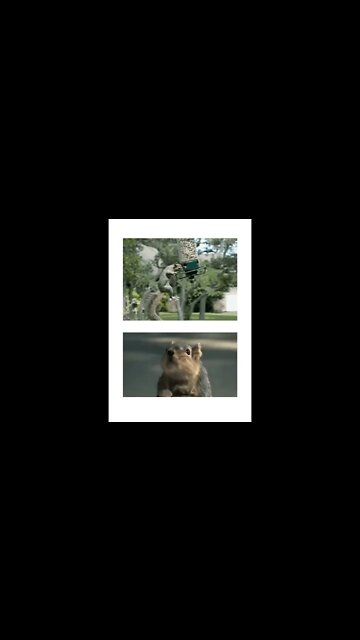 desenho alvim os esquilos #shorts