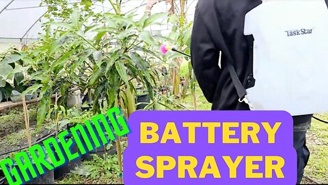 Battery Powered BackPack Sprayer| TaskStar Battery BackPack Sprayer in Use