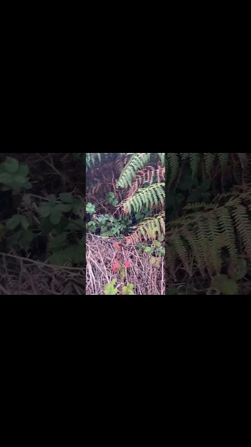 Understand that if you do onlyfans you may get your consent leaked.