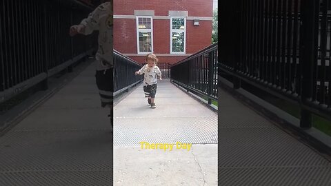 Therapy Day