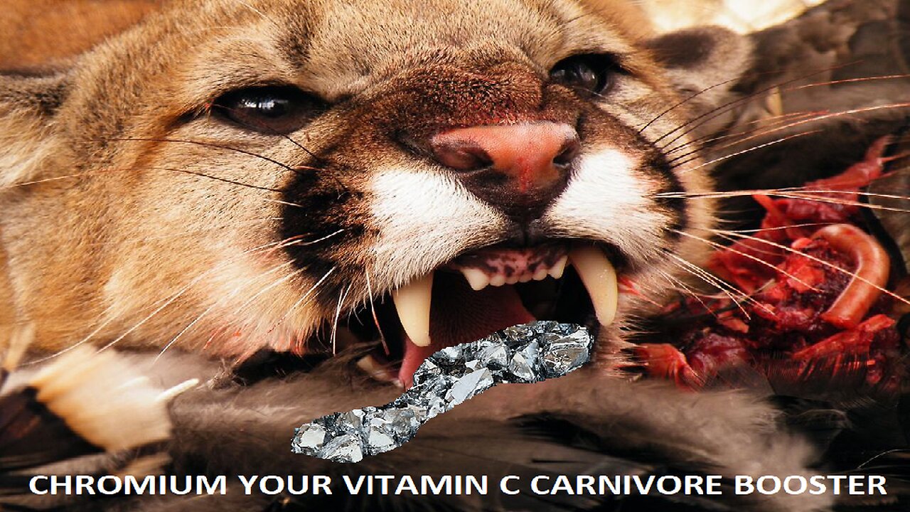 Chromium, Vitamin C and the Carnivore Diet