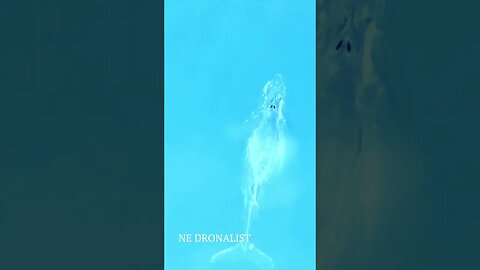 I heard, whoooosh. What did I see? Out in the distance was a…