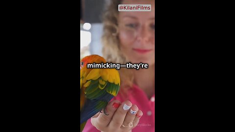 Why Do Parrots Talk?