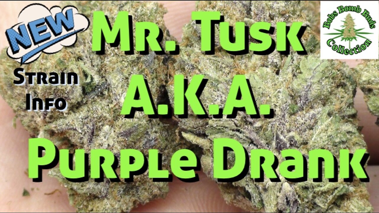 Mr Tusk, AKA Purple Drank