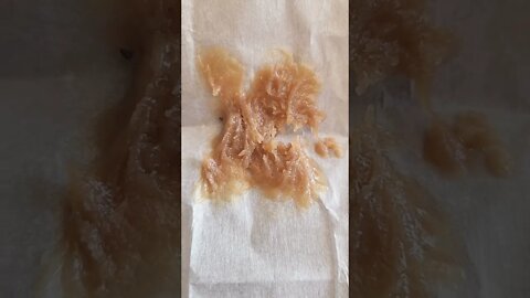 Peanut Butter Wax