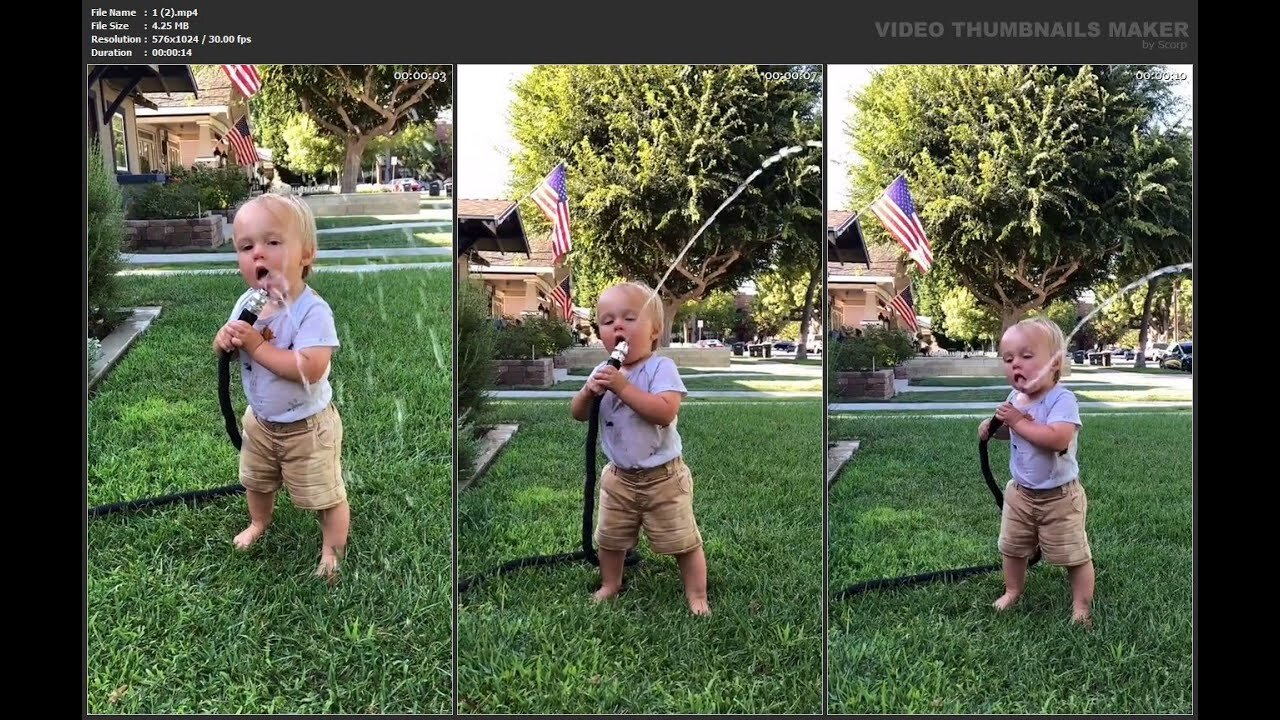 Funniest Moments Clips, Video Funny Compilations, TikTok Funny, Tik Tok