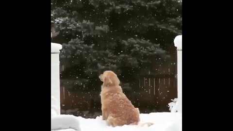 Let It Snow, Let It Snow, Let It Snow!