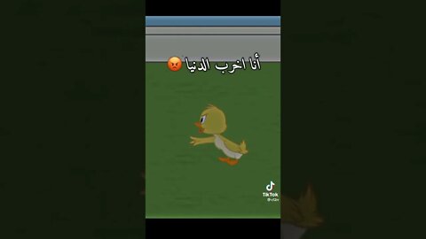 فشل الأتصال بالأنترنت 🚫