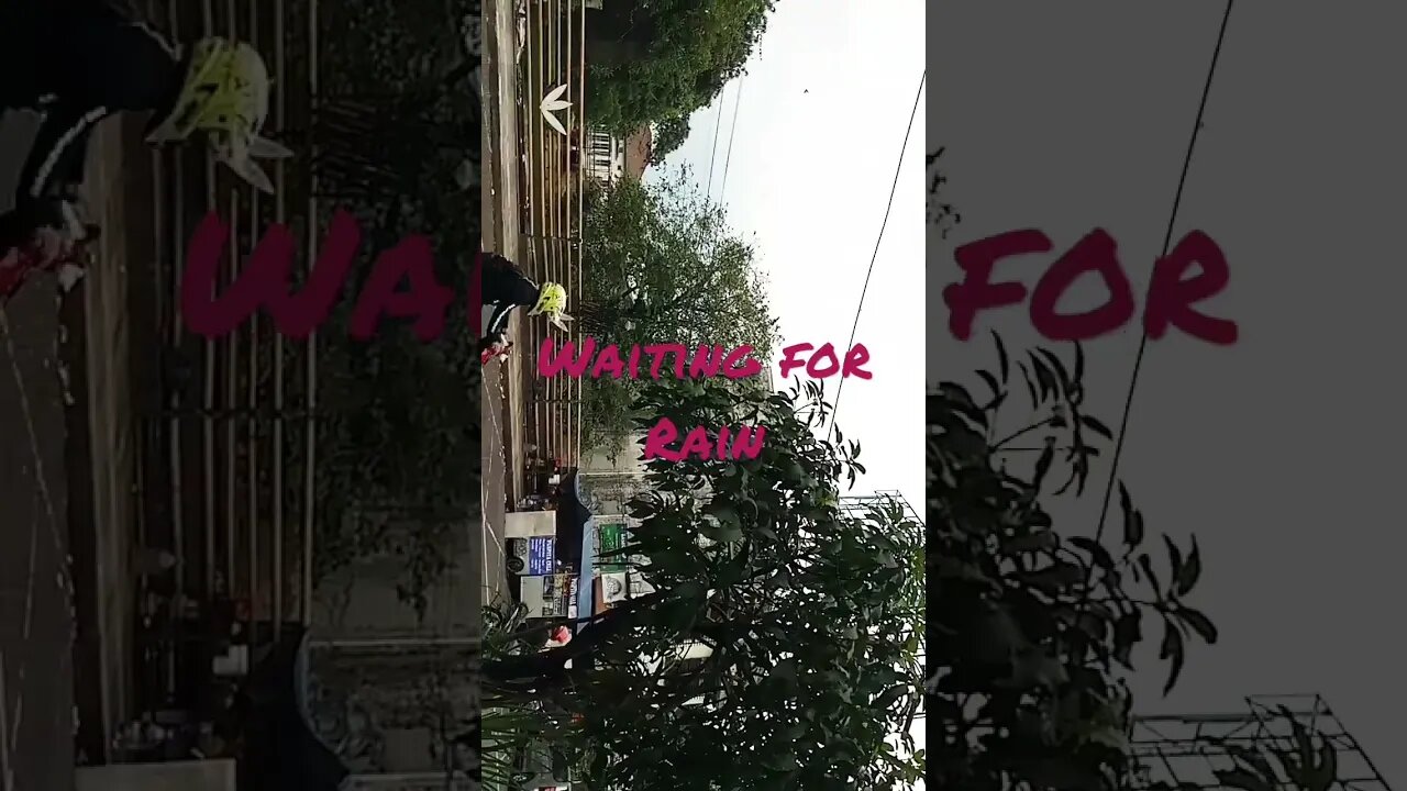 Wait for Rain