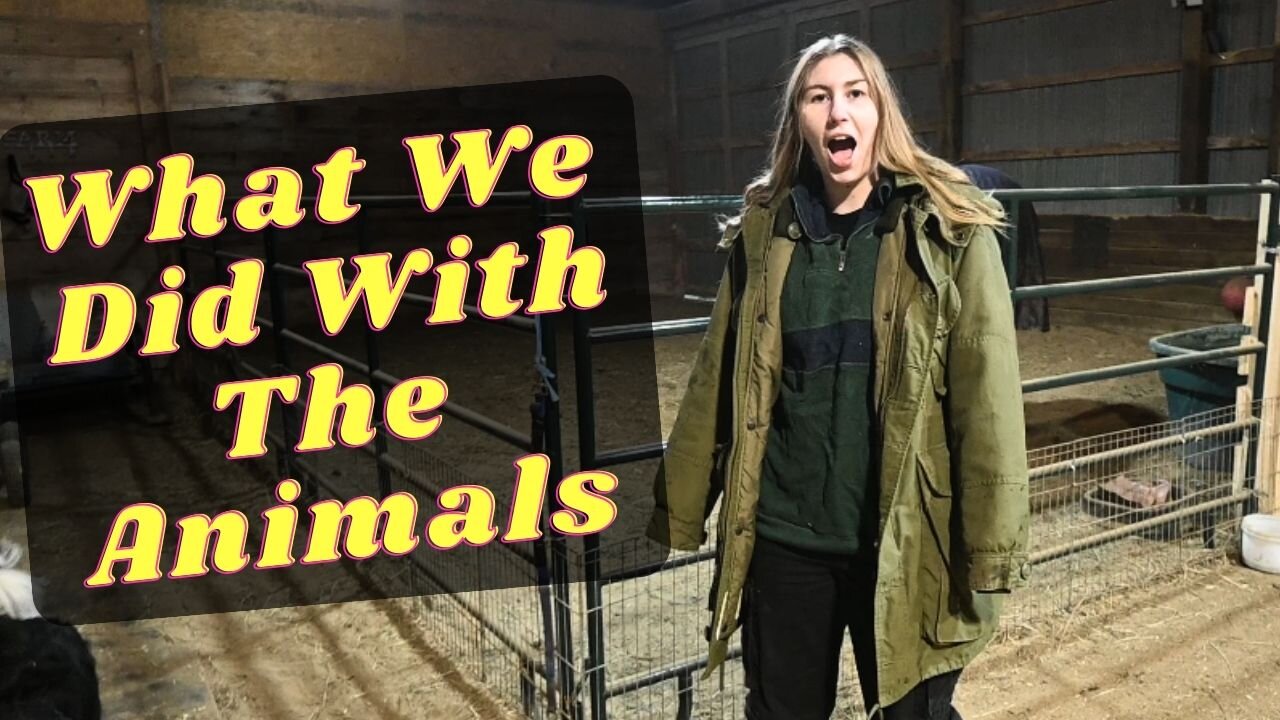 Crazy Ice Storm Hits Our Farm