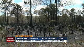 Florida homeowners insurance covers wildfire damage