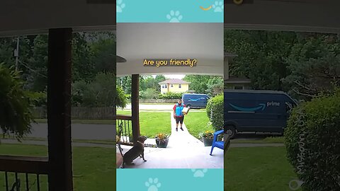 This Is Why I Don’t Deliver Packages! 😅