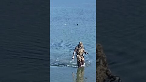 Duck retrieval