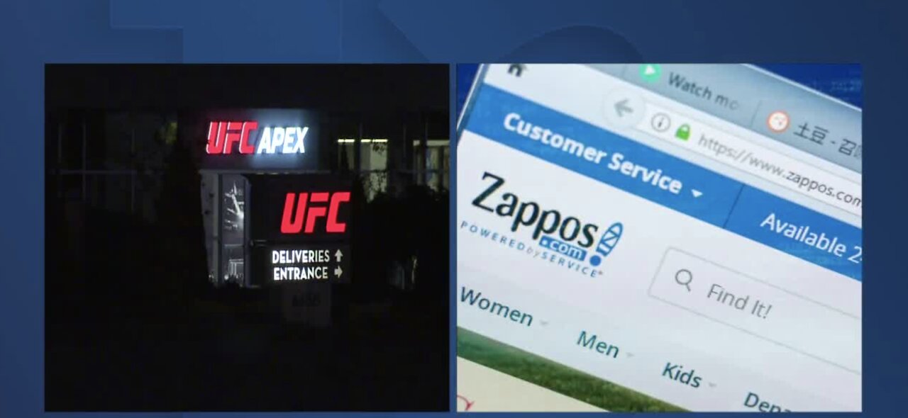 Zappos to make, distribute UFC apparel exclusively in U.S.