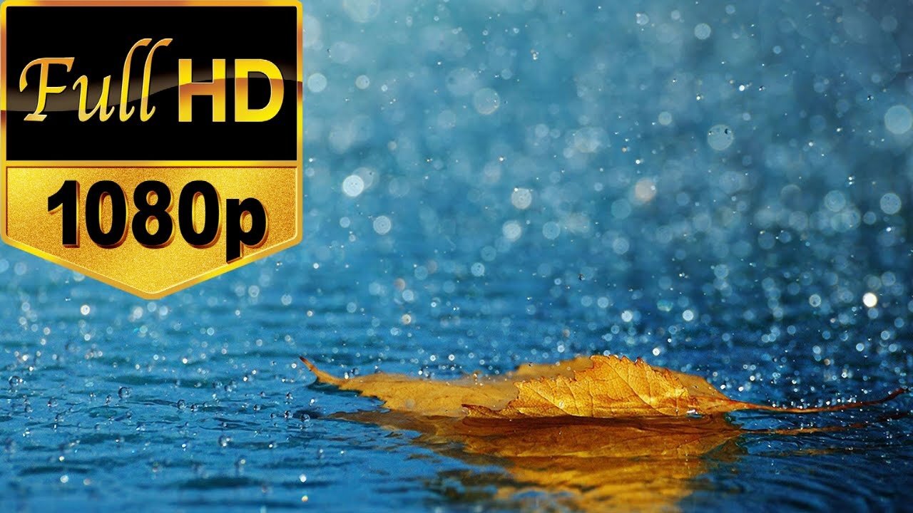 Rain Window View Still Photography Stock Footage Free HD Videos -- No Copyright