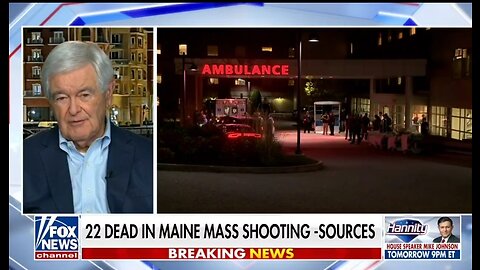Newt Gingrich: We Need Greater Ability For Our Citizens To Protect Themselves
