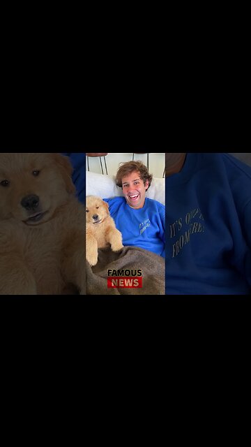 David Dobrik Launches Doughbriks Pizza on Sunset Blvd | Famous News #shorts