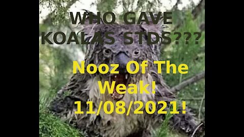 Who Is Giving Koala's STDs?!? Nooz Of The Weak! 11/08/21