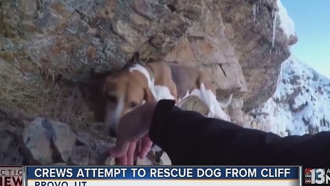 Crews attempt to rescue dog from cliff