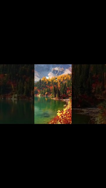 🍂🍁Autumn🍂🍁