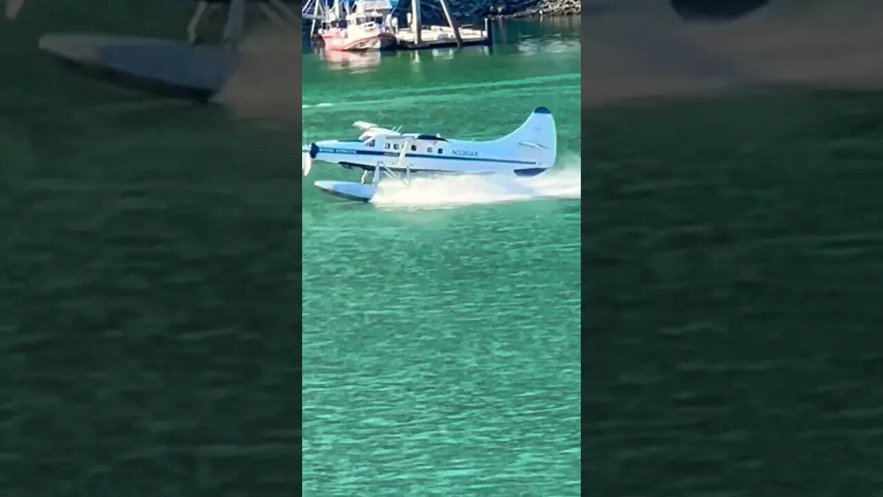 Sea plane taking off for a glacier in #alaska #cruise #shorts