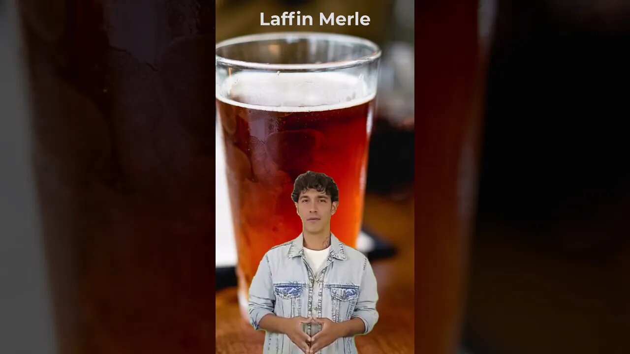 New Mexico Bar Shorts #comedy