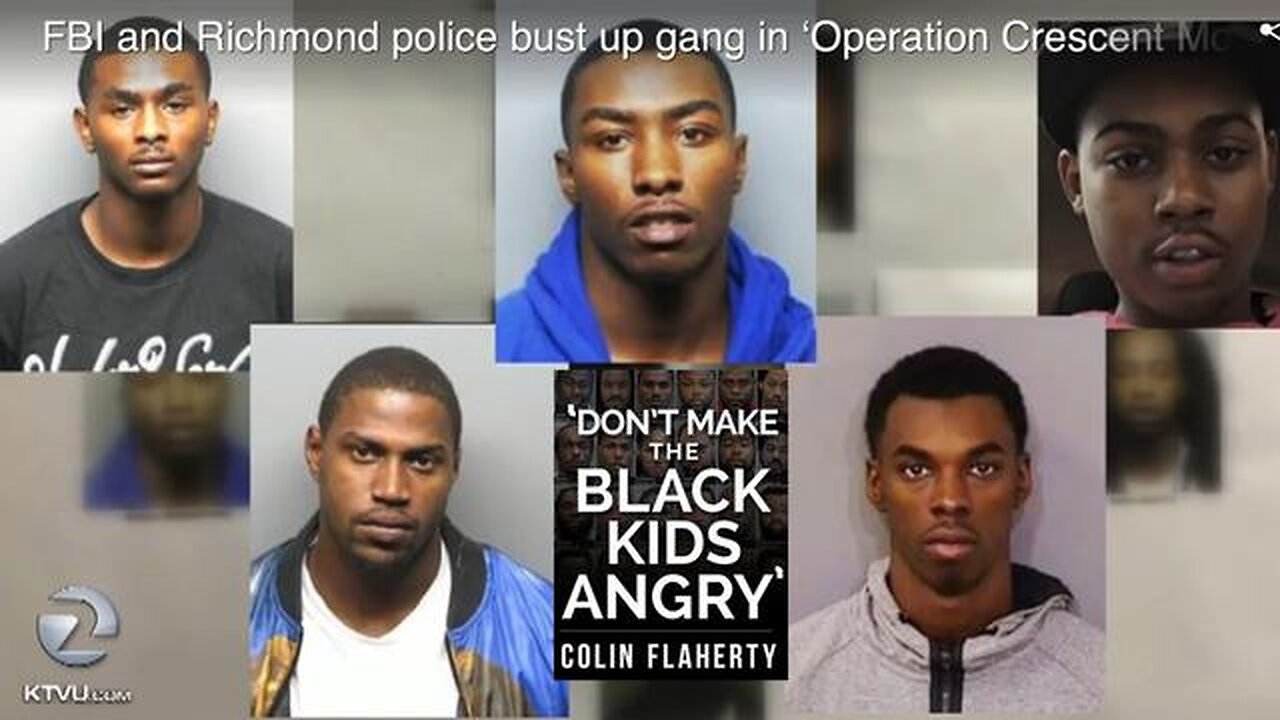 Colin Flaherty: Google WASSUP With All the Black on White Violence and Murder