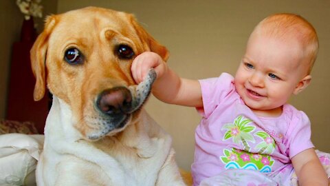 Cute Dogs and Babies Cutest Moment💚