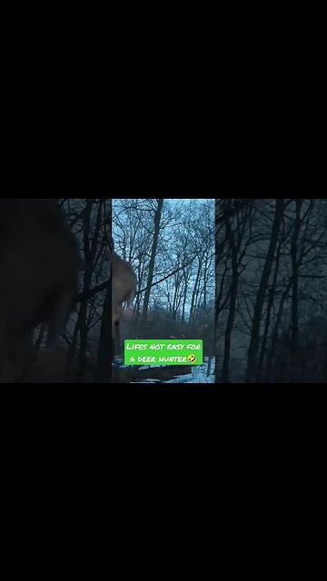 down side to hunting #deerhunting #aea #pcp #airguns