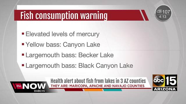 Fish caught in Arizona lakes contain high mercury levels