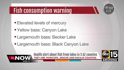 Fish caught in Arizona lakes contain high mercury levels