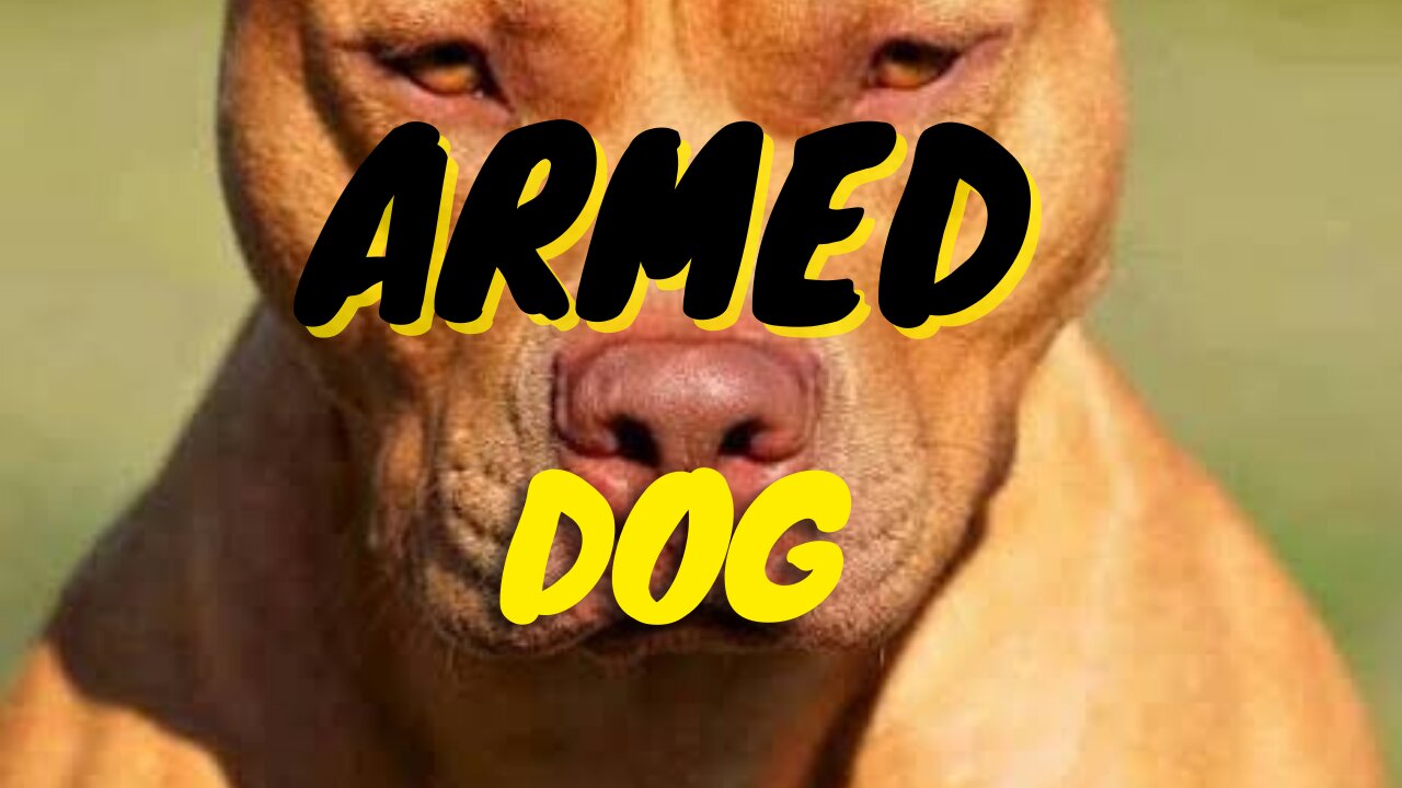 FUNNY ARMED DOG