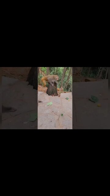 Most Amazing and trending video||relaxing your mind||trendig videos|| #shorts #trending #viral #live