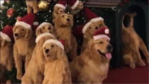 Árvore de Natal decorada com cães esconde um segredo