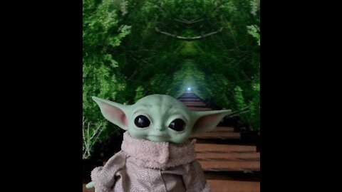 Baby Yoda baby