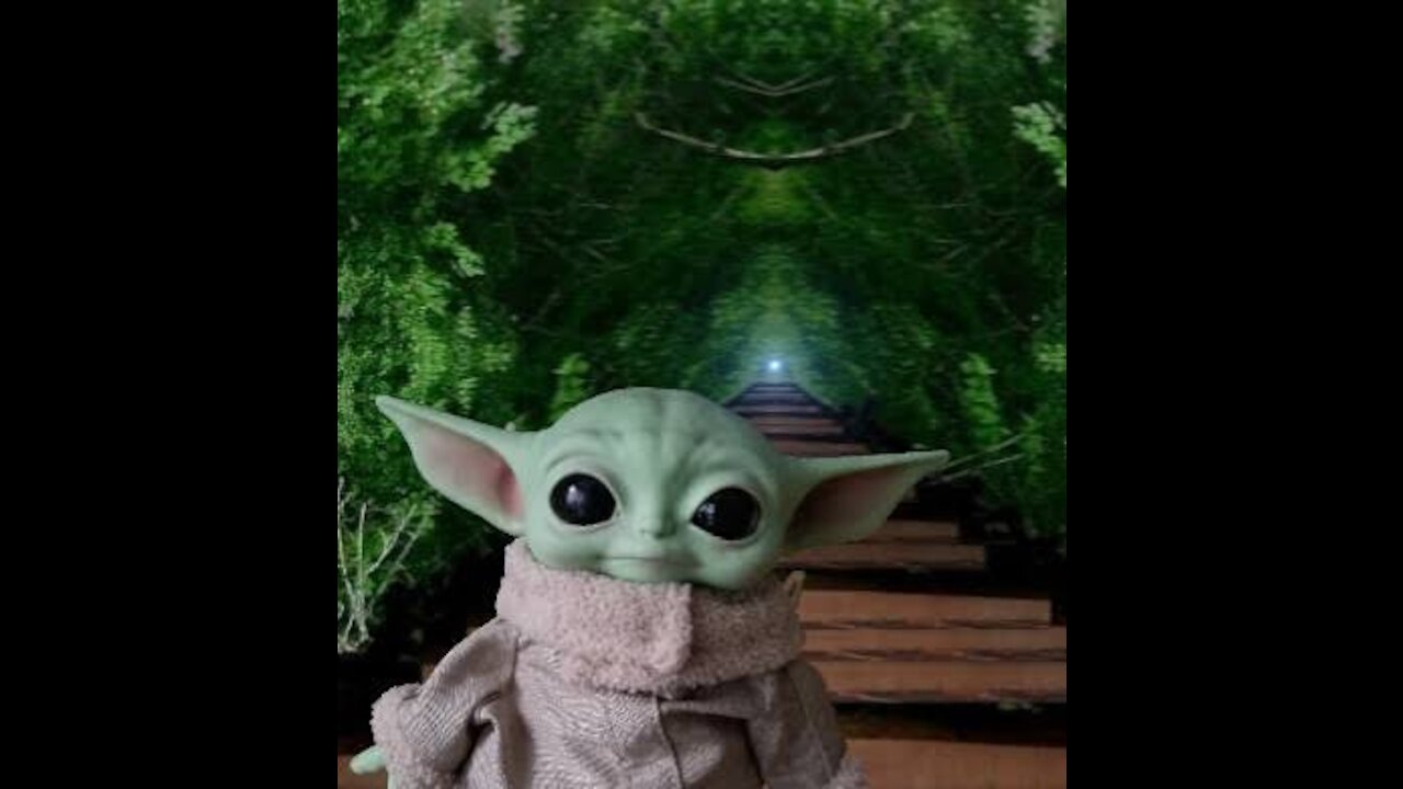 Baby Yoda baby