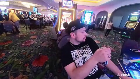 live again , in vegas, back