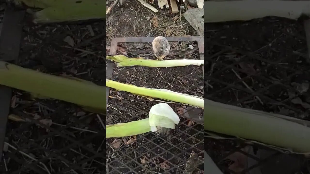 bushcraft food