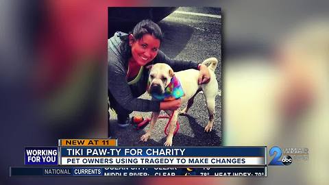 Tiki Paw-ty for charity