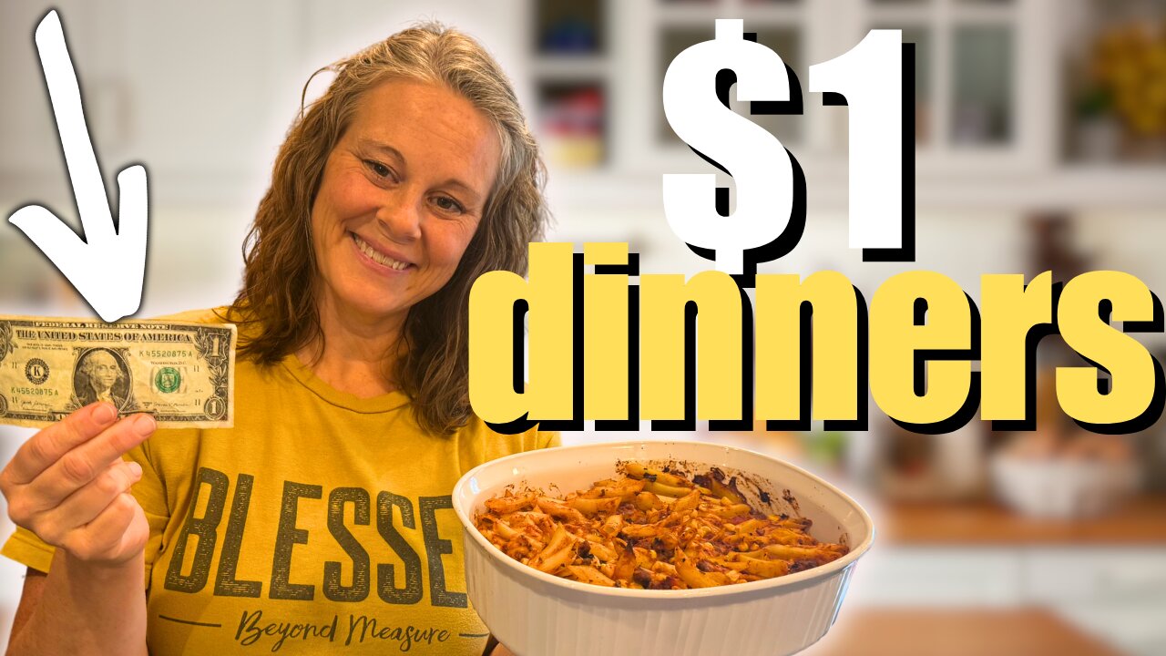 $1 EASY & HEALTHY DINNER IDEAS FOR YOUR FAMILY!