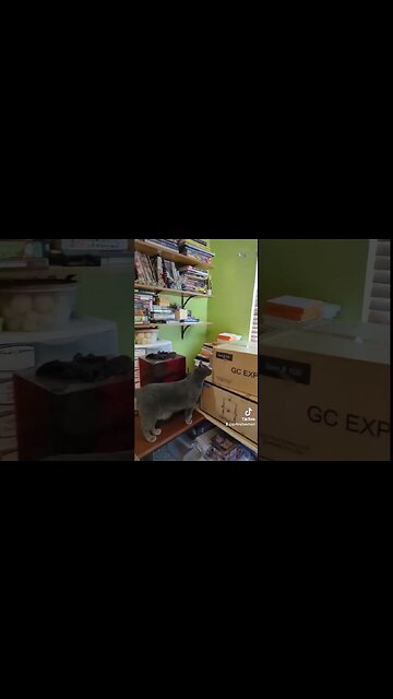 Mail Call Friday! #3dprinting #fiendish #kdm