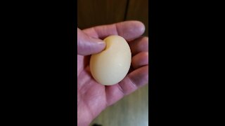 My chickens laid a soft egg